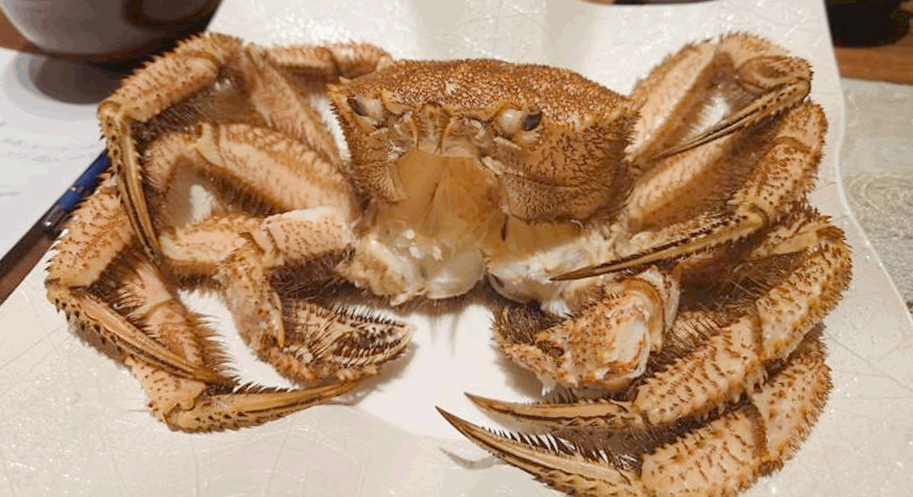 蟹や河豚三昧コース極